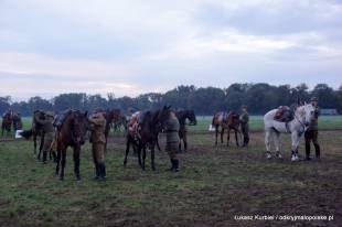 Przygotowania do Wielkiej Rewii Kawalerii  » Click to zoom ->
