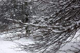 Bulwary wiślane w śniegu  » Click to zoom ->