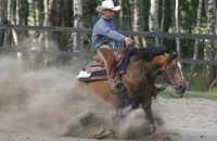 Western Riding Training Center FURIOSO